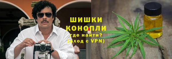 прущая мука Вяземский