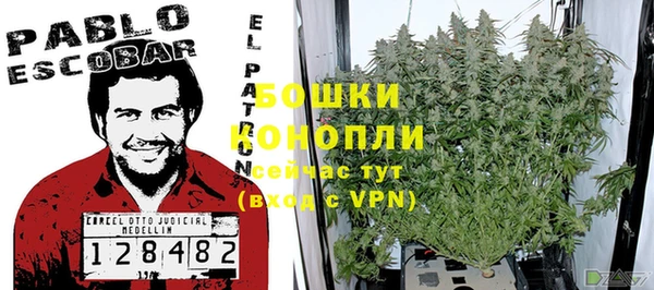 крисы Вязьма