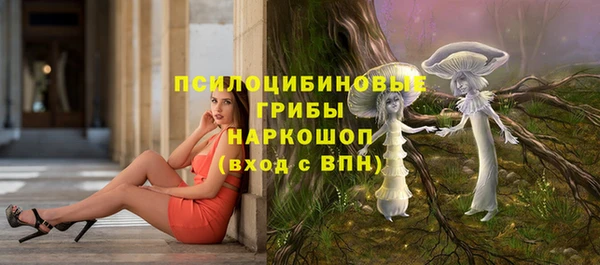 крисы Вязьма