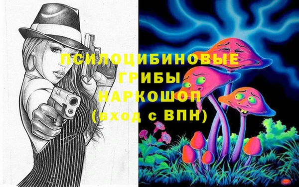 PSILOCYBIN Покровск
