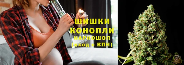 прущая мука Вяземский