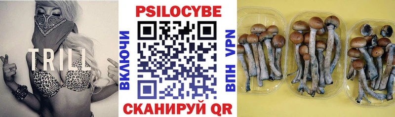 Псилоцибиновые грибы Cubensis  наркотики  Зеленокумск 